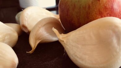 Elephant Garlic large Cloves Apple Recipe