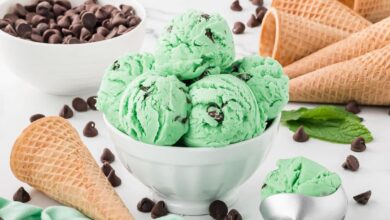 Mint Chocolate Chip Ice Cream Recipe