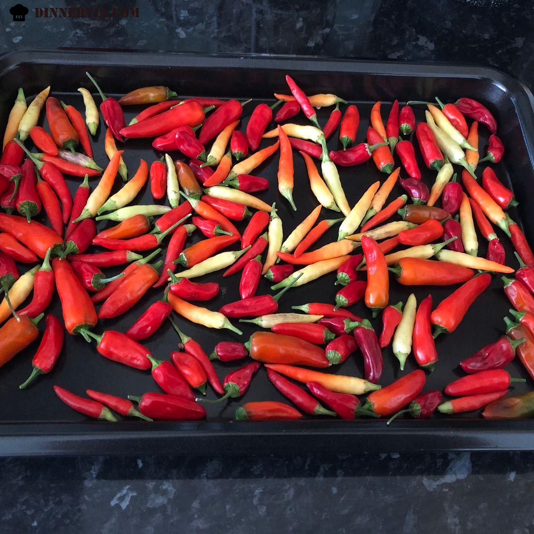 Yet more chillies from my little chilli plantation these bad
