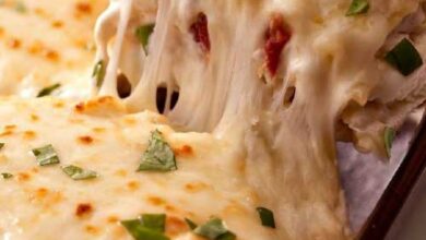 Cheesy Chicken Lasagna Recipe