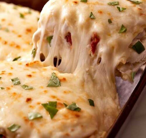 Cheesy Chicken Lasagna Recipe